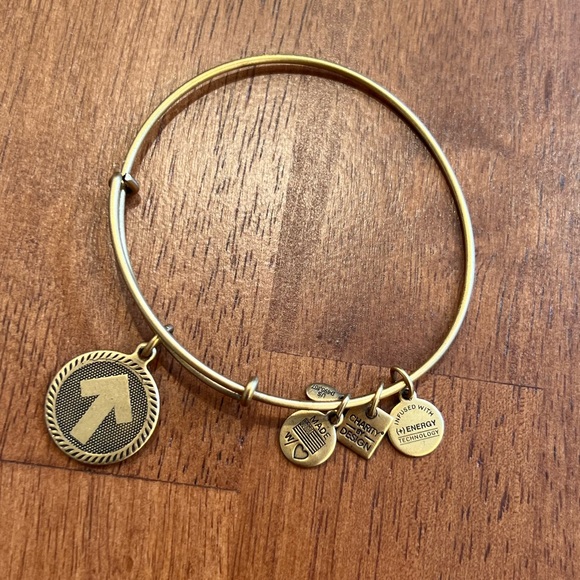 Alex and Ani Stand Up 2 Cancer Bracelet - Picture 3 of 4